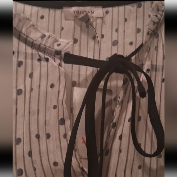 (NWT!) TRISTAN Chic Long Sleeve Sheer Cream Dress - Picture 6 of 8